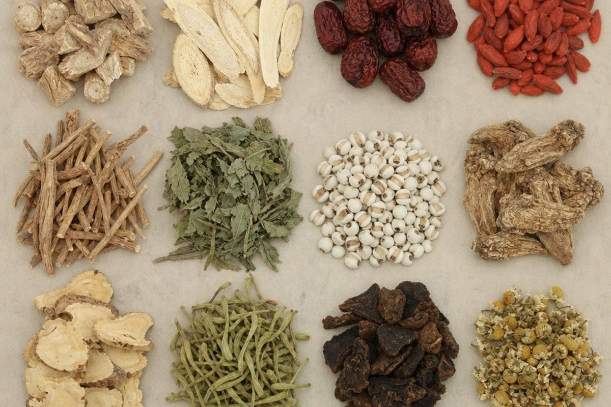 Kanna vs. Other Supplements: Mood & Relaxation Guide