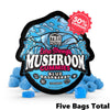 TRE House Extra Strength Mushroom Gummies