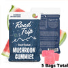Road Trip Desert Stardust Mushroom Gummies