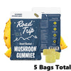 Road Trip Desert Stardust Mushroom Gummies