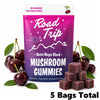 Road Trip Motel Magic Gummies