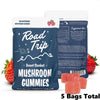 Road Trip Desert Stardust Mushroom Gummies